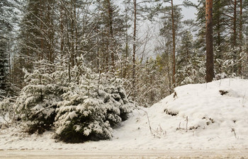 Snow in October / ***