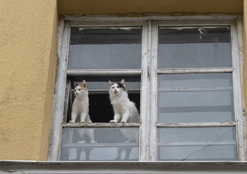 The world around / ...