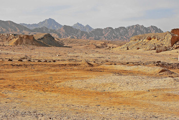 In the desert / ***