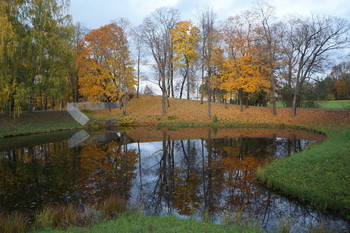 picture / ***