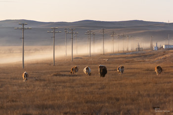 Time to go home / ***