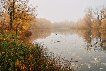 On the lake / ***