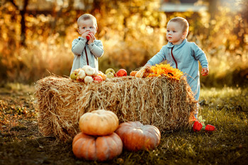 Gifts of Autumn*** / ***
