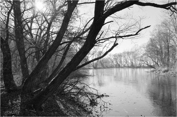 The first crust of ice / ***