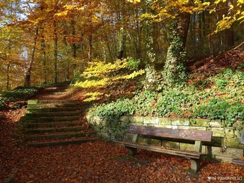 Harburger Stadtpark &amp; Außenmühlenteich Hamburg / ***