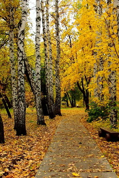 Invitation / _________________