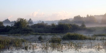 Summer morning. / ***