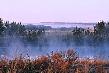 Mist, fog ... / ***