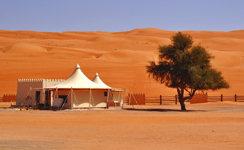 Desert / ...