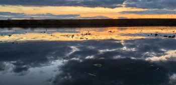 Sunset over the river / ***