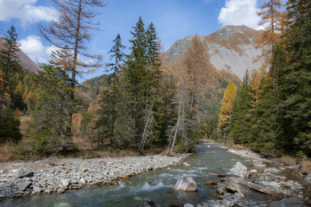 Mountain stream / ...
