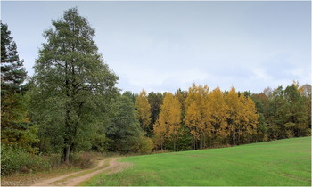 *Autumn sketch** / ***
