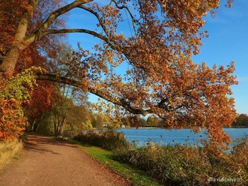 Harburger Stadtpark &amp; Außenmühlenteich Hamburg / ***