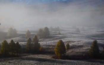 Foggy morning / ...