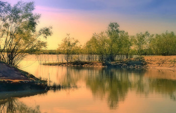 In a quiet backwater ... / ***