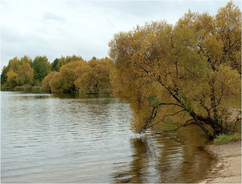 Autumn Beach / ***