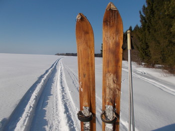Skier / ***