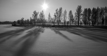 Shadows on the sand / ***