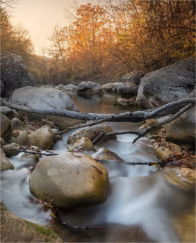 Crimean Autumn / ***