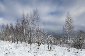 Winter rhythms / ***