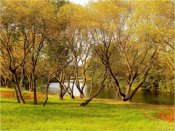 In autumn park / ***