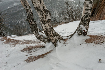 Three sisters ... / ***