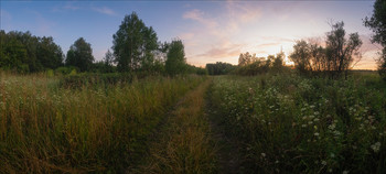 Dusk / ***