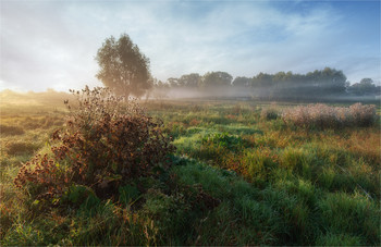 autumn morning / ***