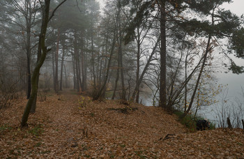 Autumn / ***