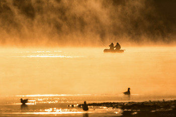 first frost / ***