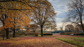 In autumn park / ***