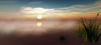 Drew attention / ***