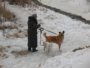 Drew attention / ***