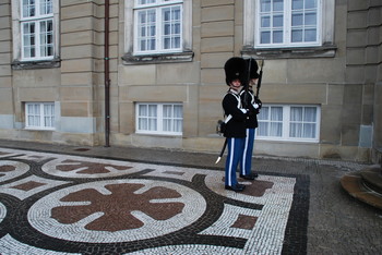 Drew attention / ***