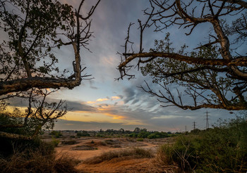 Drew attention / ***