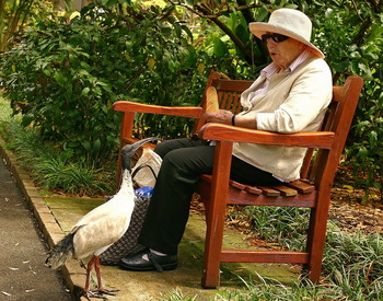 Drew attention / ***