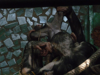 Drew attention / ***