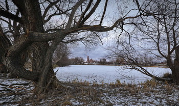 Old pond / ...