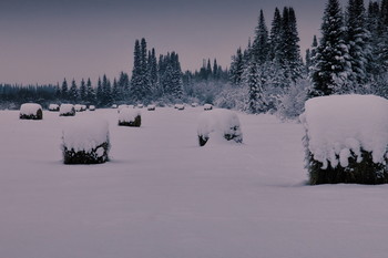 After a snowfall. / ***