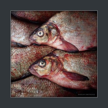 &nbsp; / music: Pat Metheny &amp; Charlie Haden - The Moon is a Harsh Mistress
https://www.youtube.com/watch?v=Co443J6cozg