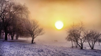 Frosty the sun / ***