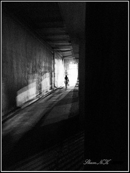 Untitled / ***