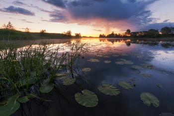 After the rain / ***