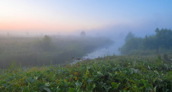 Morning fog. / ***