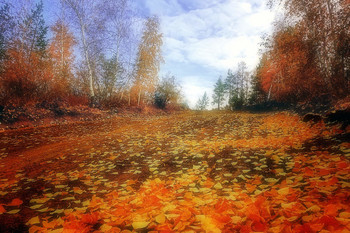 The road to autumn / ***