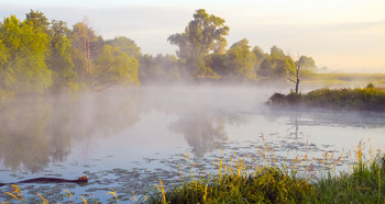 At dawn / ***