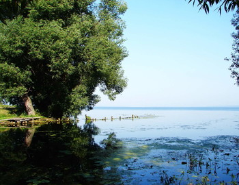 Remembering summer / ***