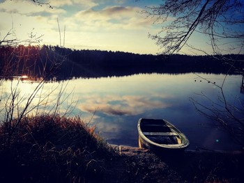 Morning on the lake / ***
