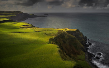 50 shades of green / ***