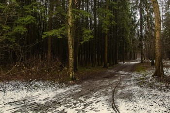 Road / ...